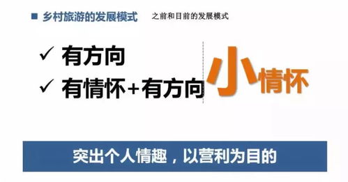 未来乡村旅游 以数字文化创意软件驱动有文化、有情怀、有方向的开发新模式